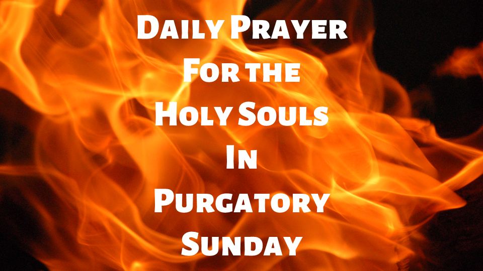 Daily Prayer for the Holy Souls in Purgatory Sunday